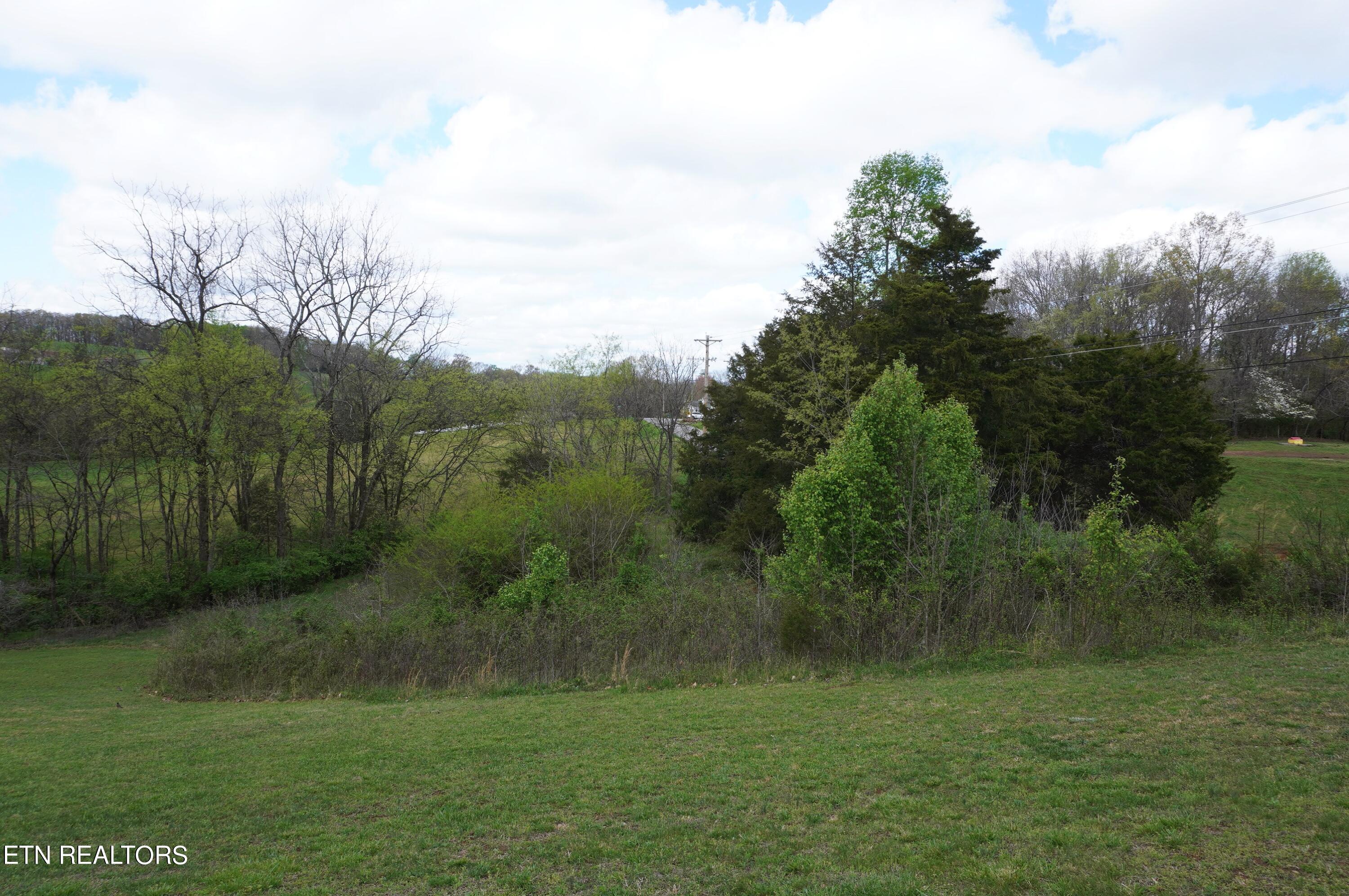 1301 Pratt Road Talbott, TN 37877 - Photo 8 of 31 pratt rd - bates (3)