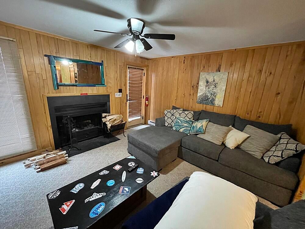 47 Powderidge Road, Unit 36 Snowshoe, WV 26209 - Photo 3 of 21 Gallery Image 3
