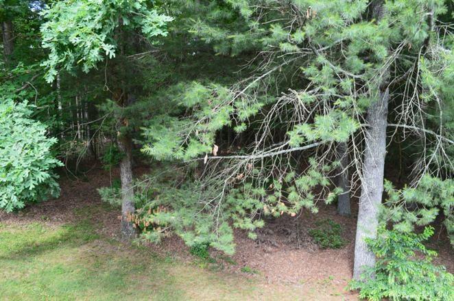 137 Spring Street Hudson, NC 28638 - Photo 10 of 14 Gallery Image 10