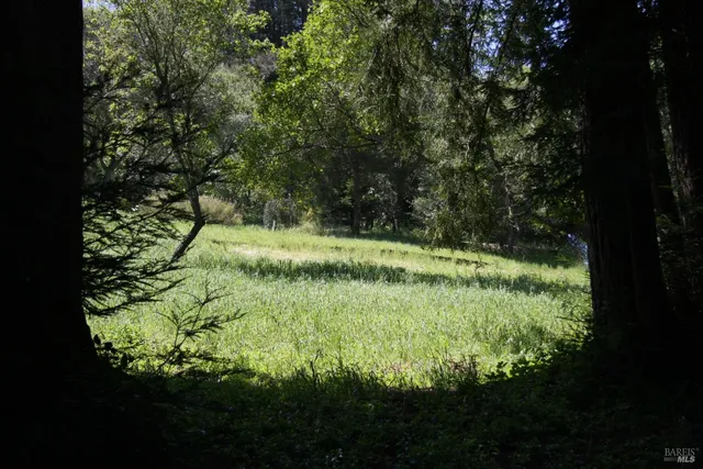 a view of outdoor garden
