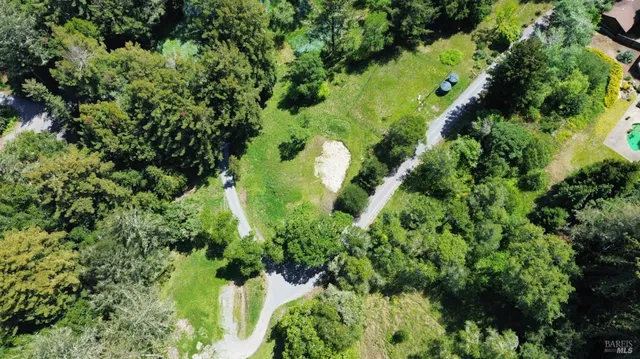 an aerial view of a garden with plants