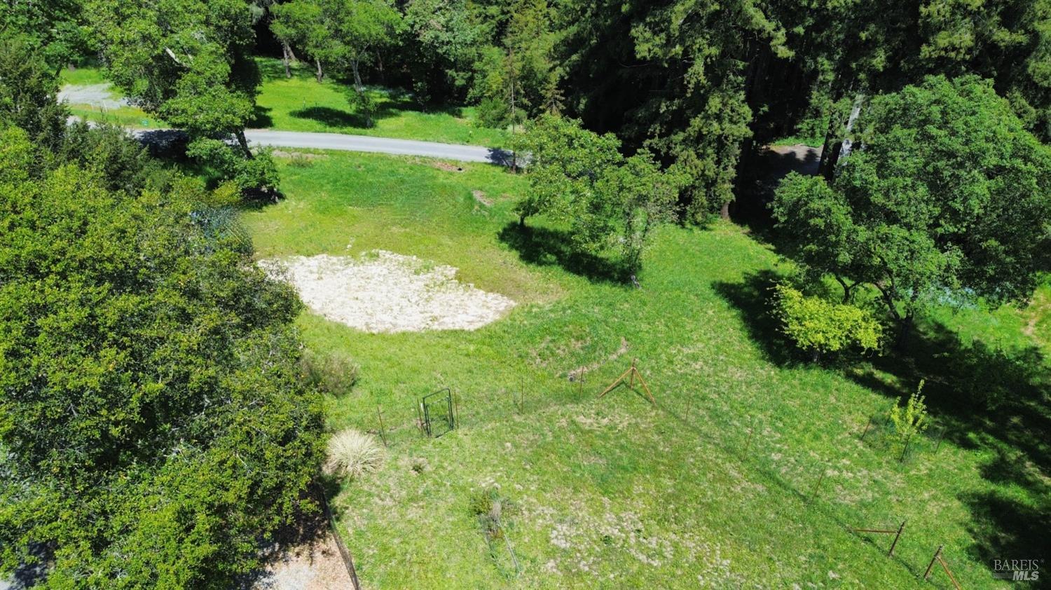 10966 Barnett Valley Road Sebastopol, CA 95472 - Photo 3 of 16 a lush green forest with lots of trees