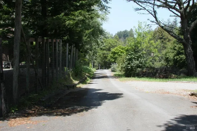 a view of a street with a trees