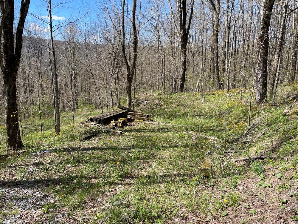 15 Hawthorne Ridge Road Slatyfork, WV 26291 - Photo 8 of 11 well