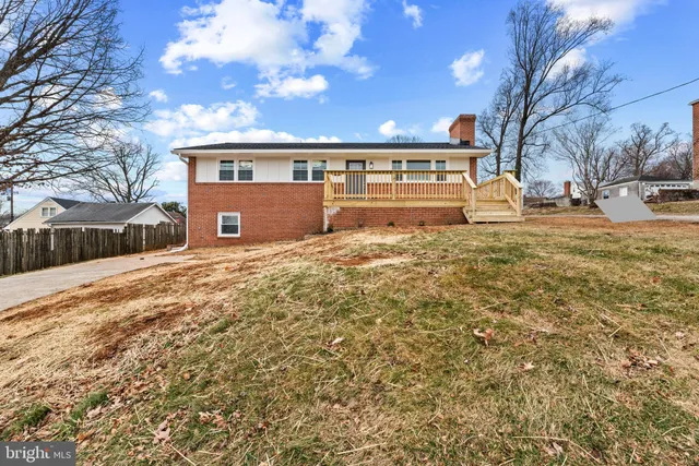 a view of yard with large tree