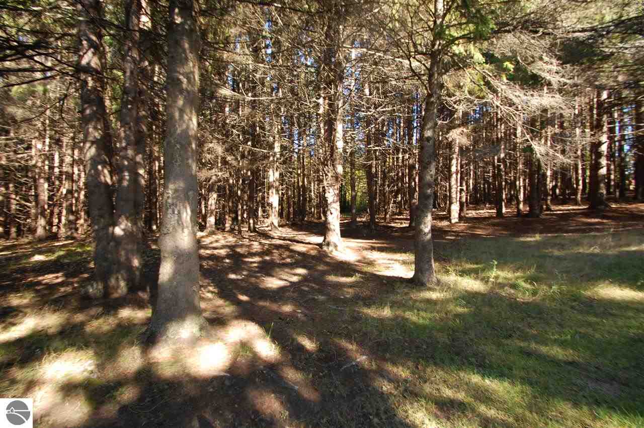 4716 Diebold Ranch Road West Branch, MI 48661 - Photo 13 of 37 1777219-12.JPG