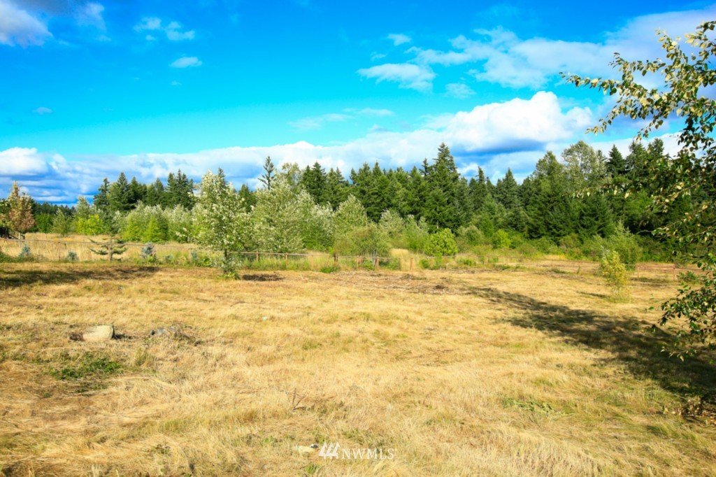 12214 Morris Road Southeast Yelm, WA 98597 - Photo 22 of 25 Gallery Image 22