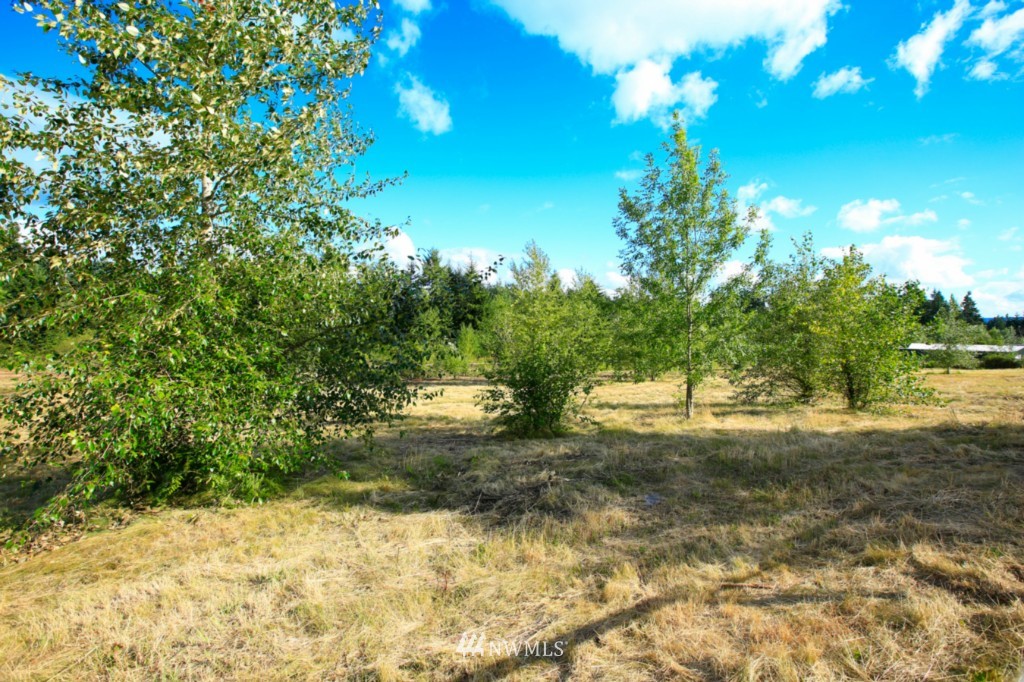 12214 Morris Road Southeast Yelm, WA 98597 - Photo 23 of 25 Gallery Image 23