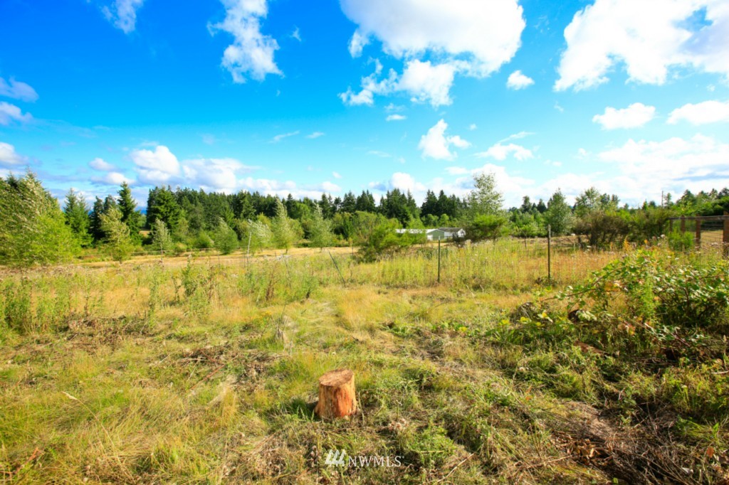 12214 Morris Road Southeast Yelm, WA 98597 - Photo 24 of 25 Gallery Image 24