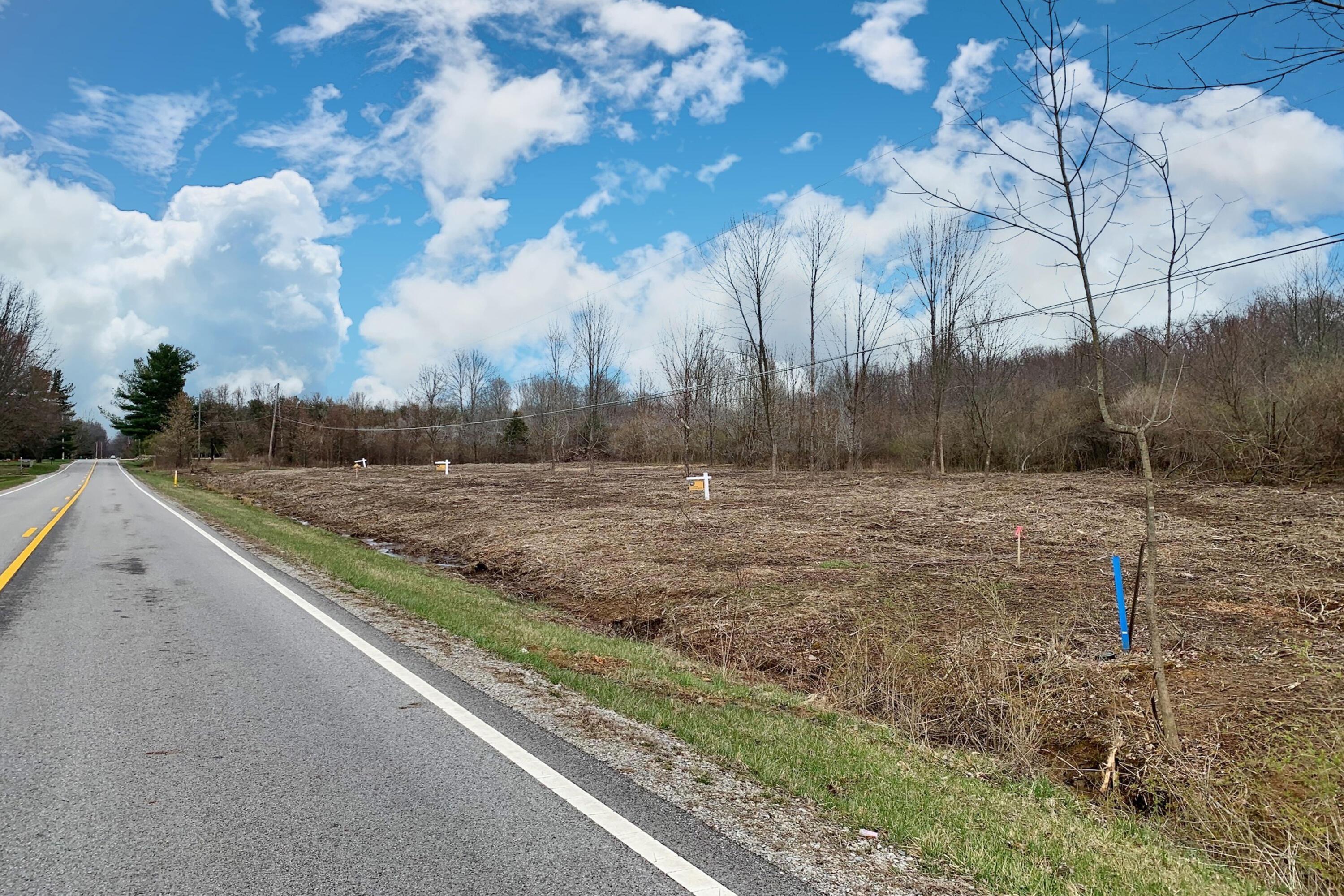 5563 Red Bank Road, Unit TRACT C Galena, OH 43021 - Photo 11 of 32 11.-West-View-of-Lot
