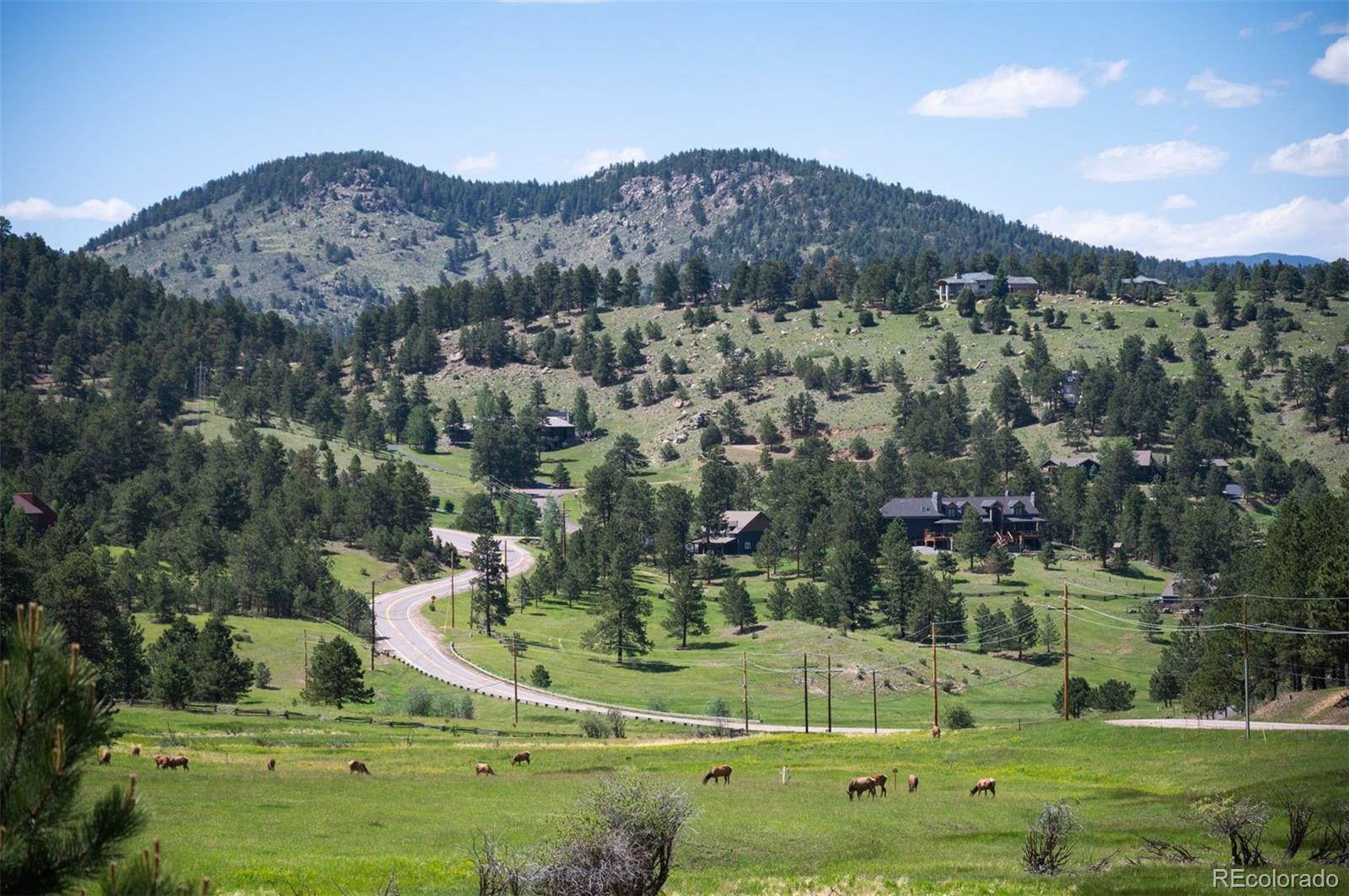 32843 Deep Forest Road Evergreen, CO 80439 - Photo 35 of 35