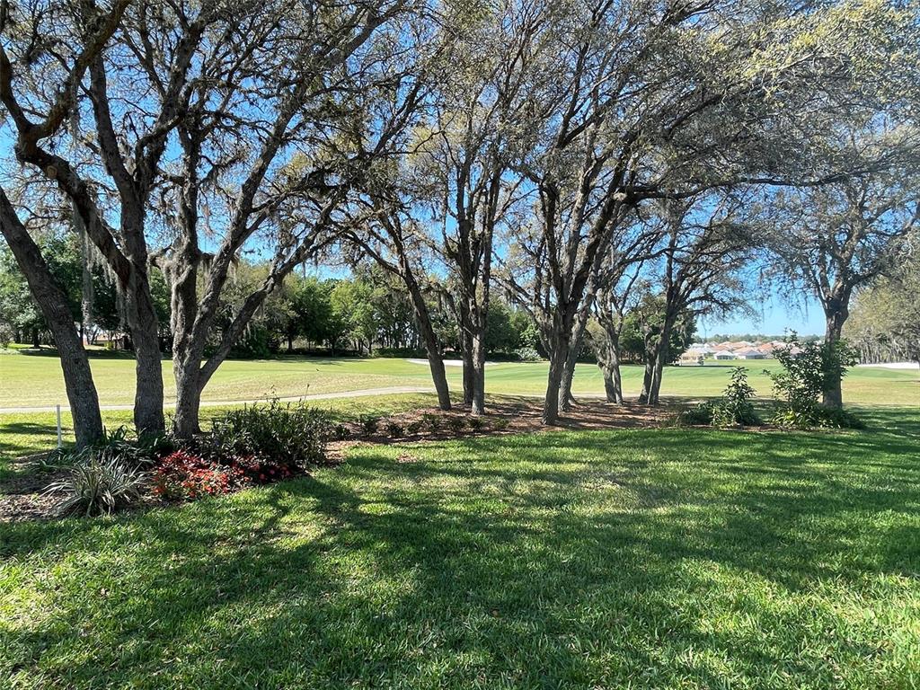 1240 West Diamond Shore Loop Hernando, FL 34442 - Photo 30 of 34