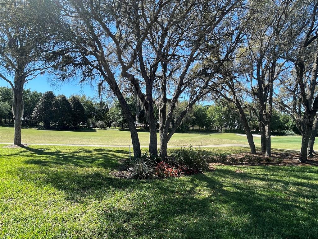 1240 West Diamond Shore Loop Hernando, FL 34442 - Photo 33 of 36