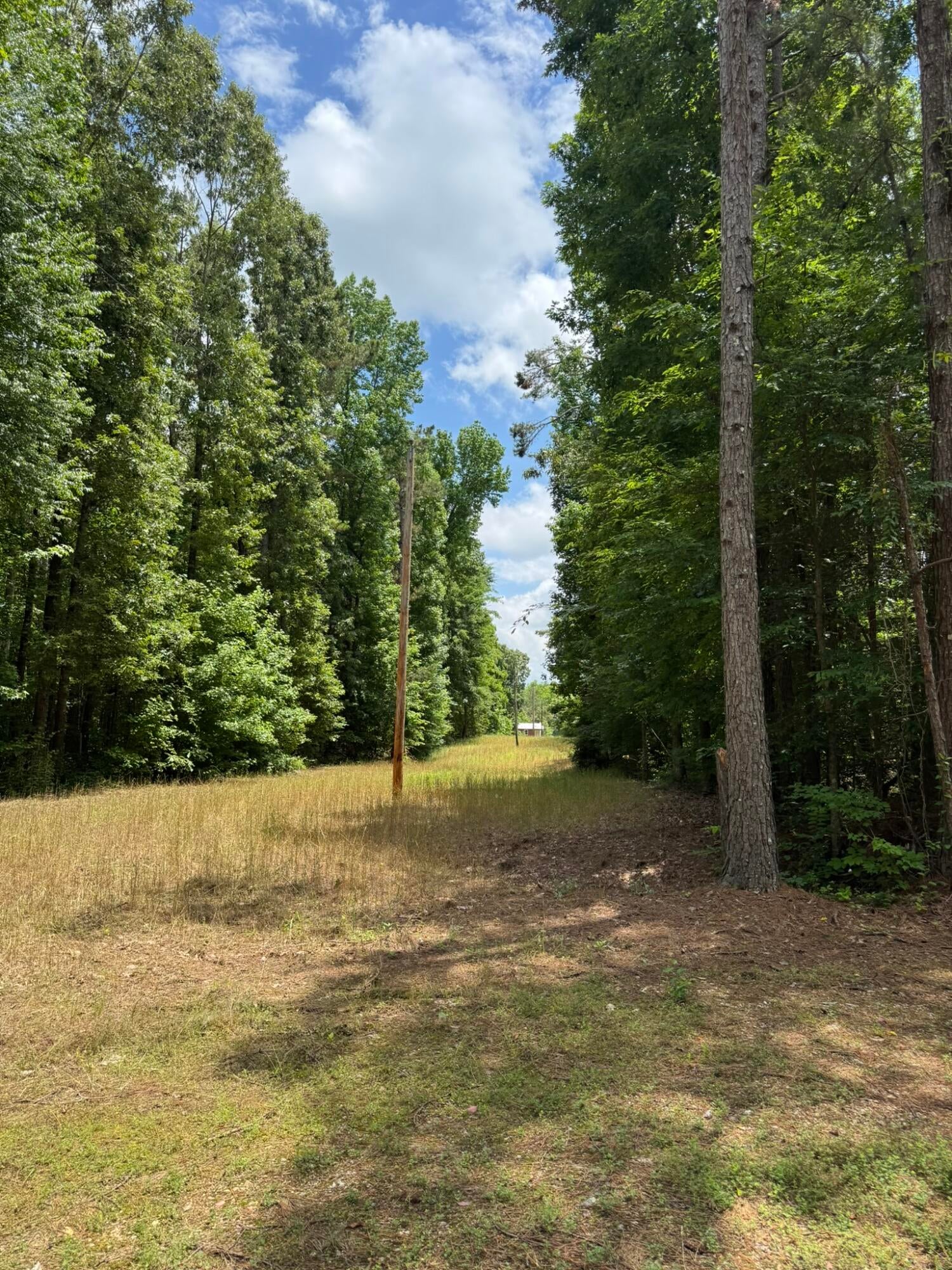 Geeville Road Booneville, MS 38829 - Photo 8 of 10 Gallery Image 8