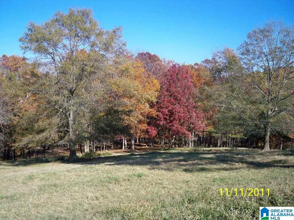 1511 Burgett Road Altoona, AL 35952 - Photo 31 of 38 Gallery Image 31