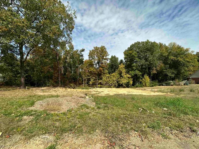 a view of a yard with a trees