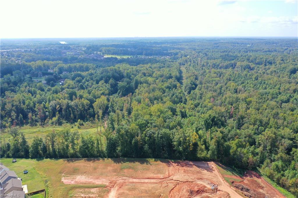 8774 Bame Road Colfax, NC 27235 - Photo 12 of 15