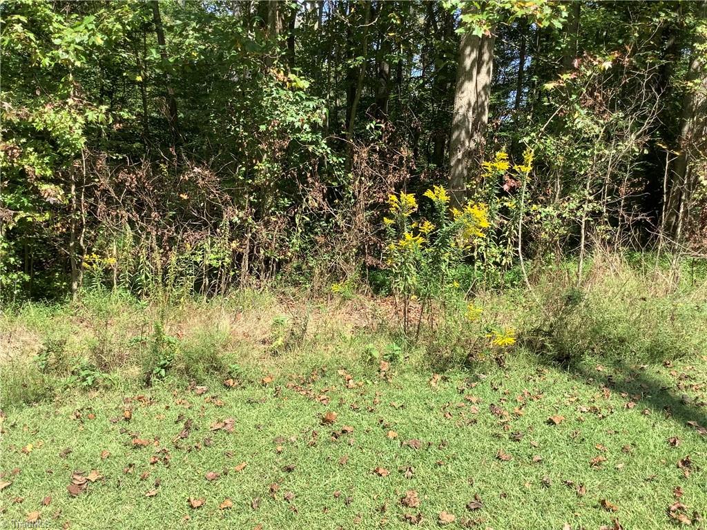 8774 Bame Road Colfax, NC 27235 - Photo 5 of 15