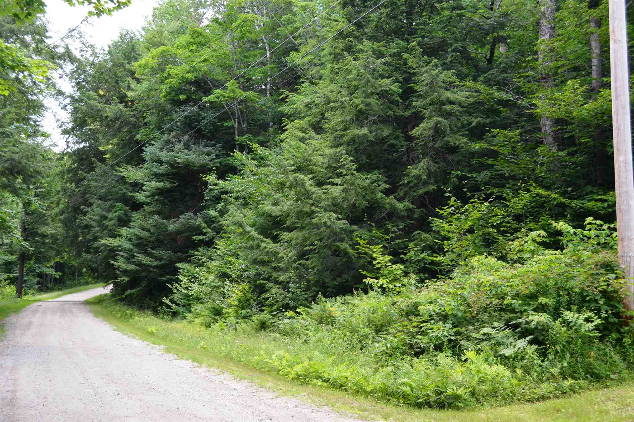 466 Dorman Road Andover, VT 05143 - Photo 15 of 16