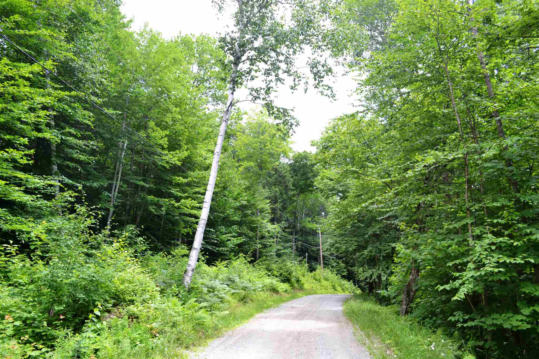 466 Dorman Road Andover, VT 05143 - Photo 16 of 16
