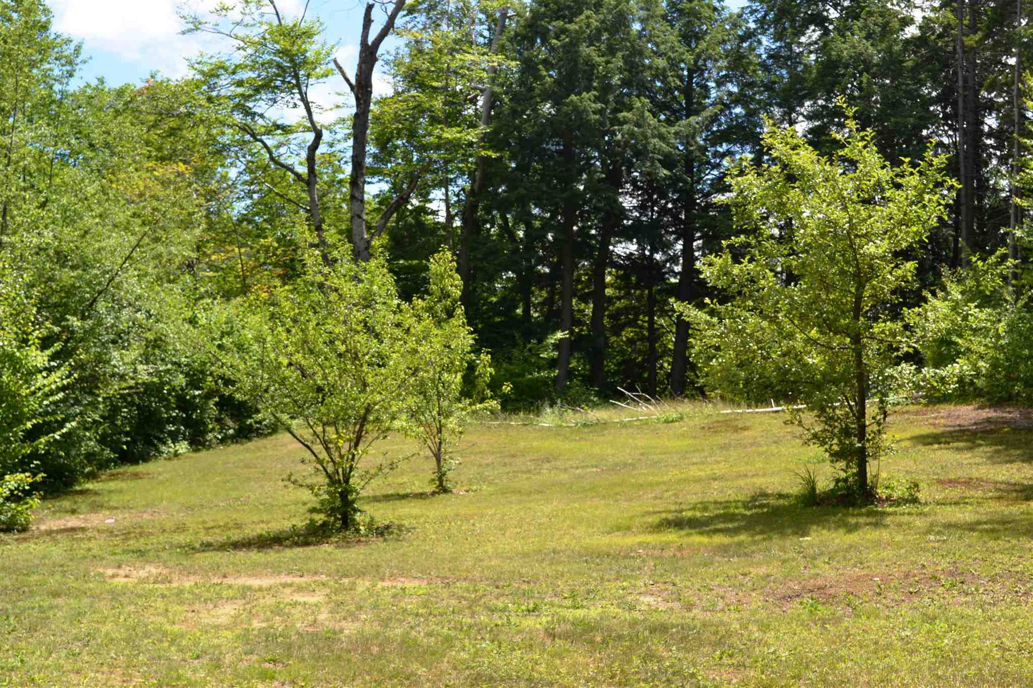 466 Dorman Road Andover, VT 05143 - Photo 5 of 16