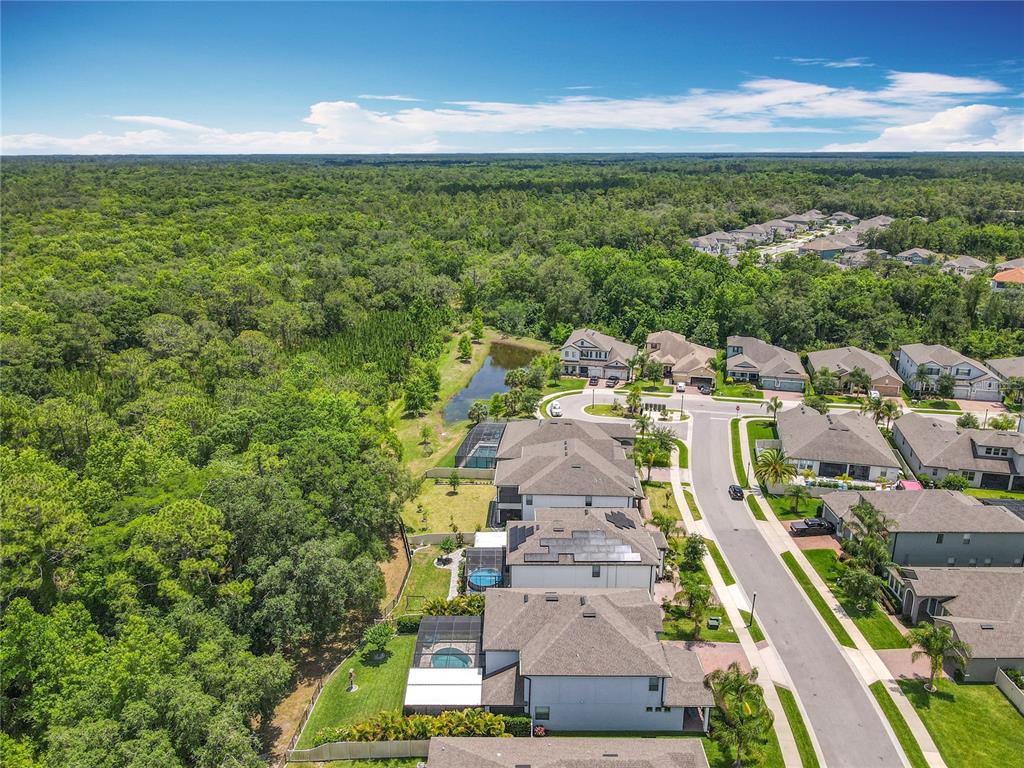 2676 Estuary Loop Oviedo, FL 32765 - Photo 87 of 92