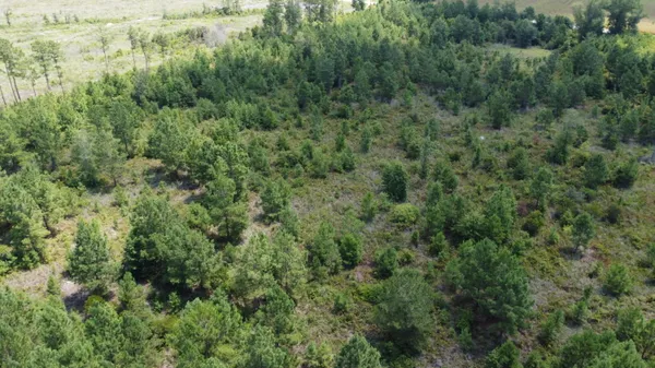 $568,000 | 0 Salem Road, Gable, SC 29051