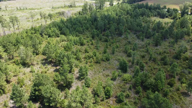 $599,000 | 0 Salem Road, Gable, SC 29051