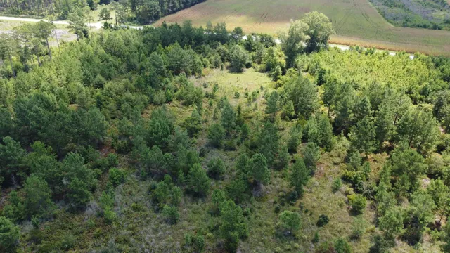 $599,000 | 0 Salem Road, Gable, SC 29051