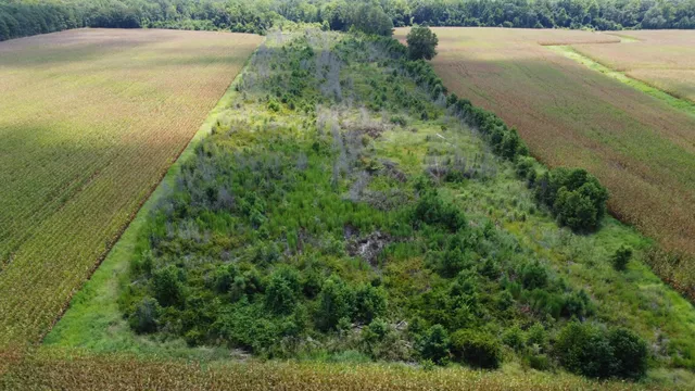 $599,000 | 0 Salem Road, Gable, SC 29051