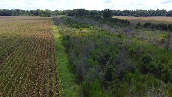 $568,000 | 0 Salem Road, Gable, SC 29051