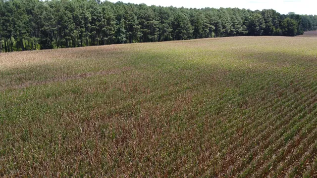 $599,000 | 0 Salem Road, Gable, SC 29051