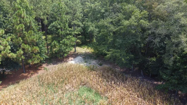 $599,000 | 0 Salem Road, Gable, SC 29051