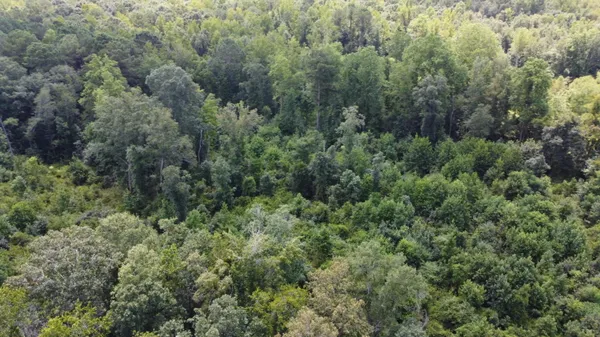 $568,000 | 0 Salem Road, Gable, SC 29051