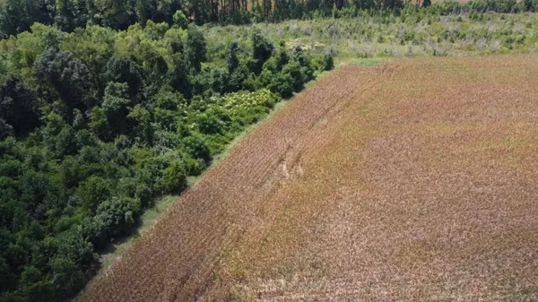 $568,000 | 0 Salem Road, Gable, SC 29051