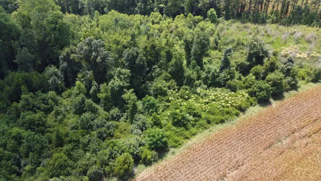 $599,000 | 0 Salem Road, Gable, SC 29051