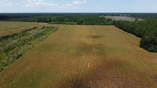 $568,000 | 0 Salem Road, Gable, SC 29051