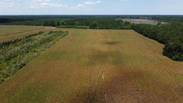 $599,000 | 0 Salem Road, Gable, SC 29051