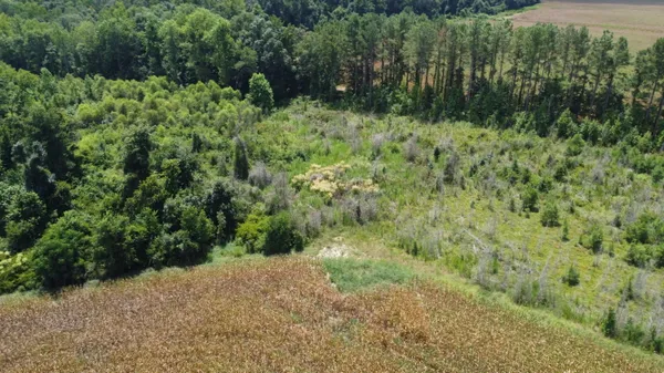 $568,000 | 0 Salem Road, Gable, SC 29051