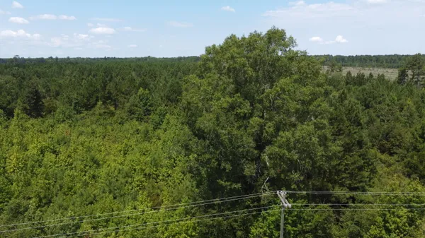 $568,000 | 0 Salem Road, Gable, SC 29051