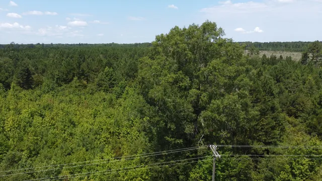 $599,000 | 0 Salem Road, Gable, SC 29051