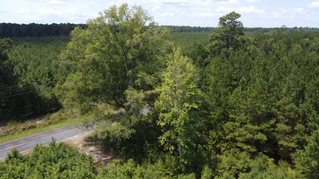 $599,000 | 0 Salem Road, Gable, SC 29051