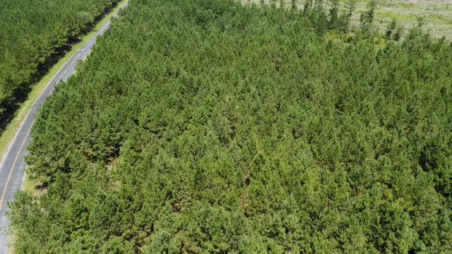 $599,000 | 0 Salem Road, Gable, SC 29051