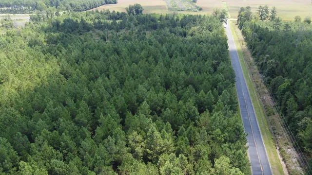 $599,000 | 0 Salem Road, Gable, SC 29051