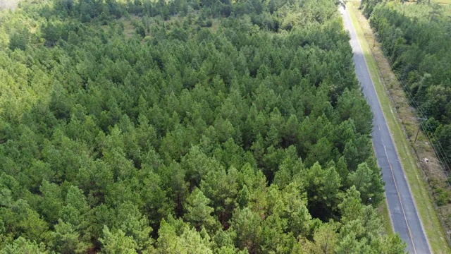 $599,000 | 0 Salem Road, Gable, SC 29051