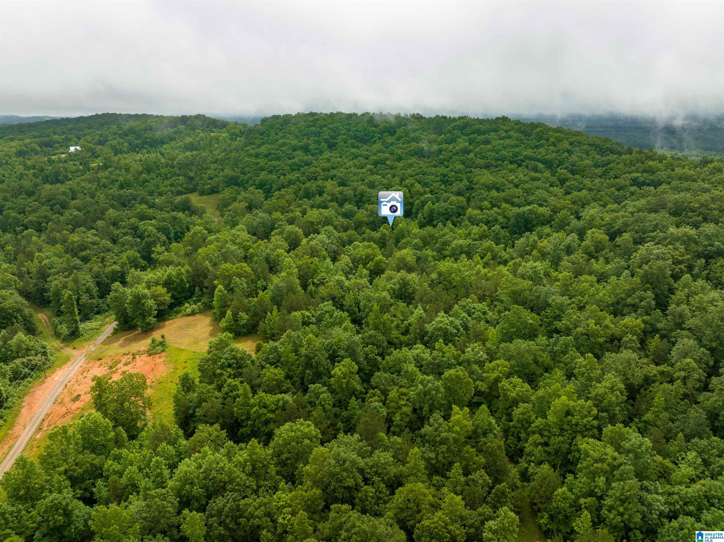 0 Crawford Cove Road Springville, AL 35146 - Photo 4 of 11