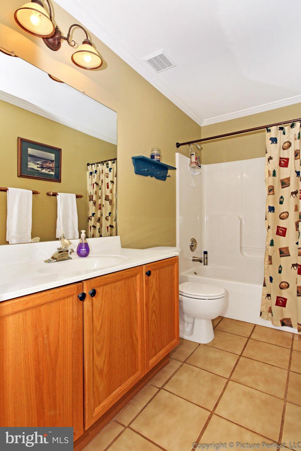 6623 Edgewood Road New Market, MD 21774 - Photo 16 of 29 Upstairs Hall Bathroom