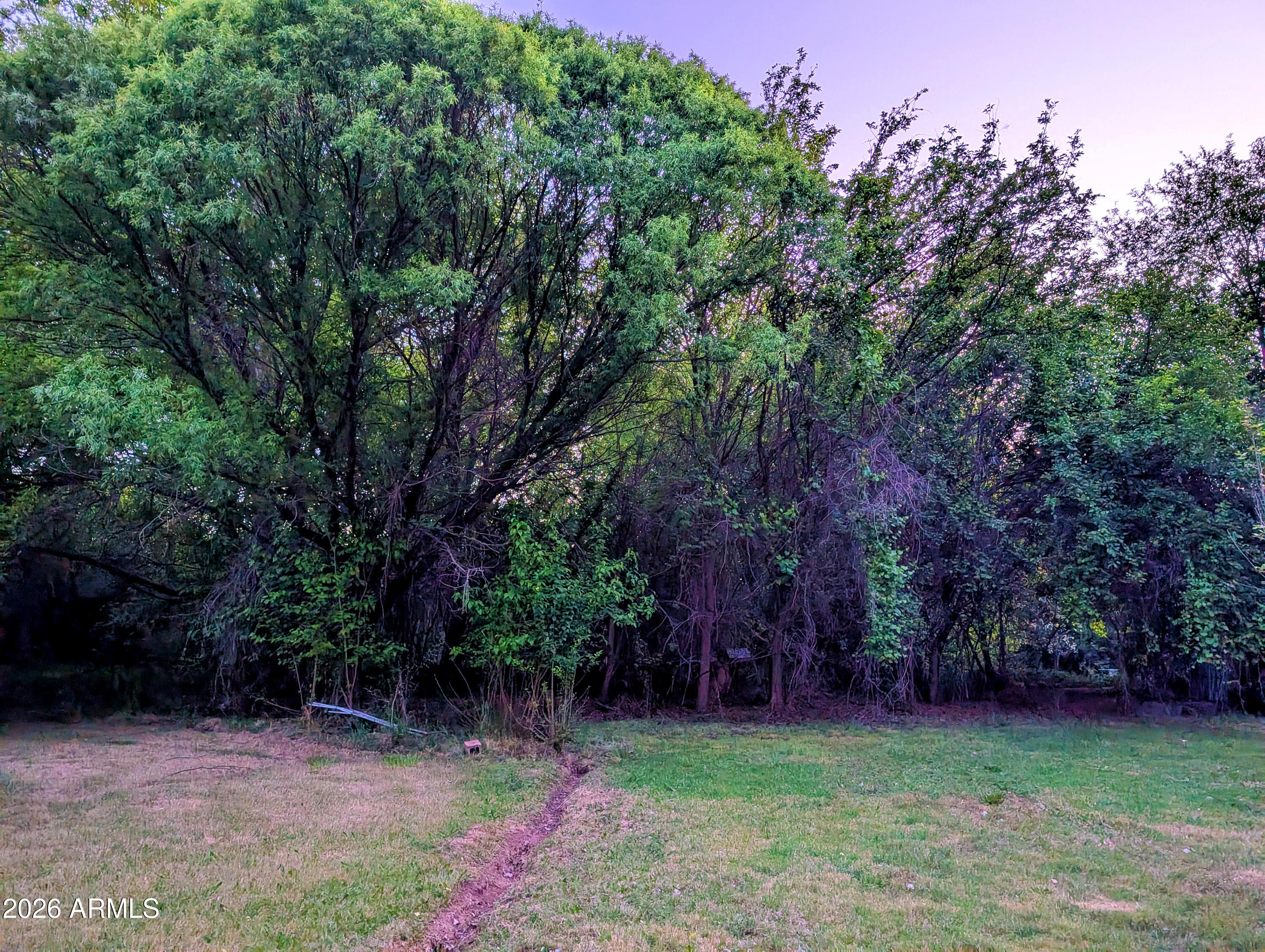 1165 North Willard Road Cottonwood, AZ 86326 - Photo 62 of 122 a view of a backyard with large trees