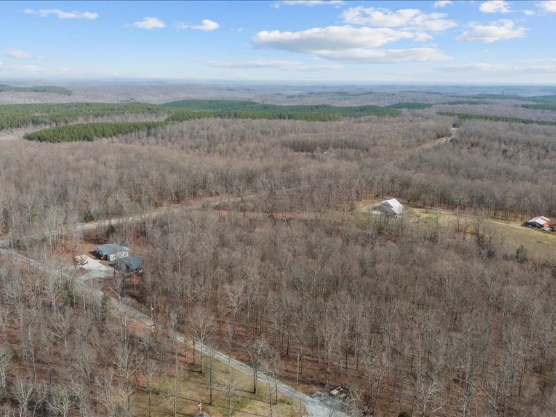 7051 Adams Road Centerville, TN 37033 - Photo 46 of 52 Gallery Image 46