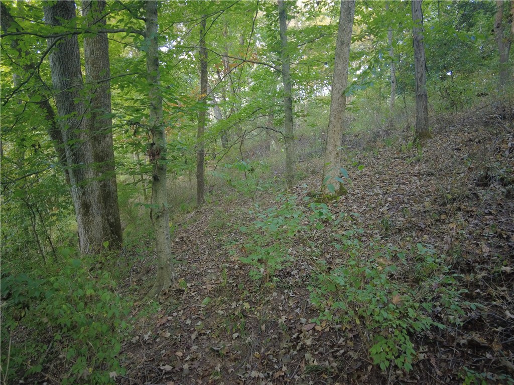 1147 Richey Road Felicity, OH 45120 - Photo 19 of 26 This serene, wooded lot offers an ideal setting for a private nature retreat.